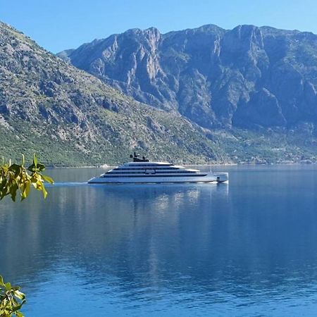 Magnolia Adriatic Apartment Kotor Exterior foto